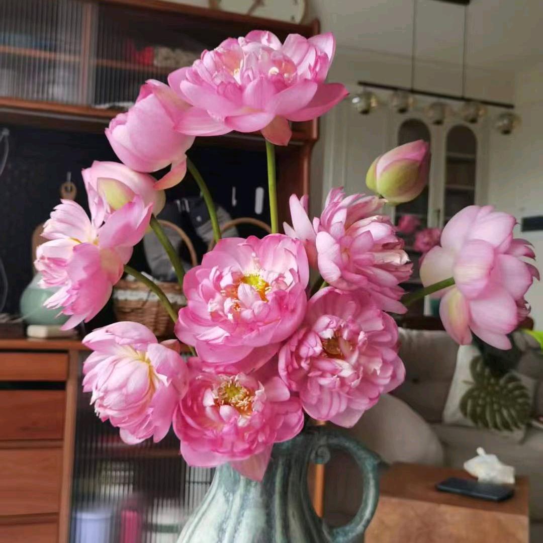 人的命运天注定