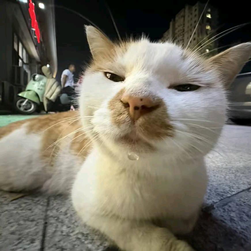 早点睡觉