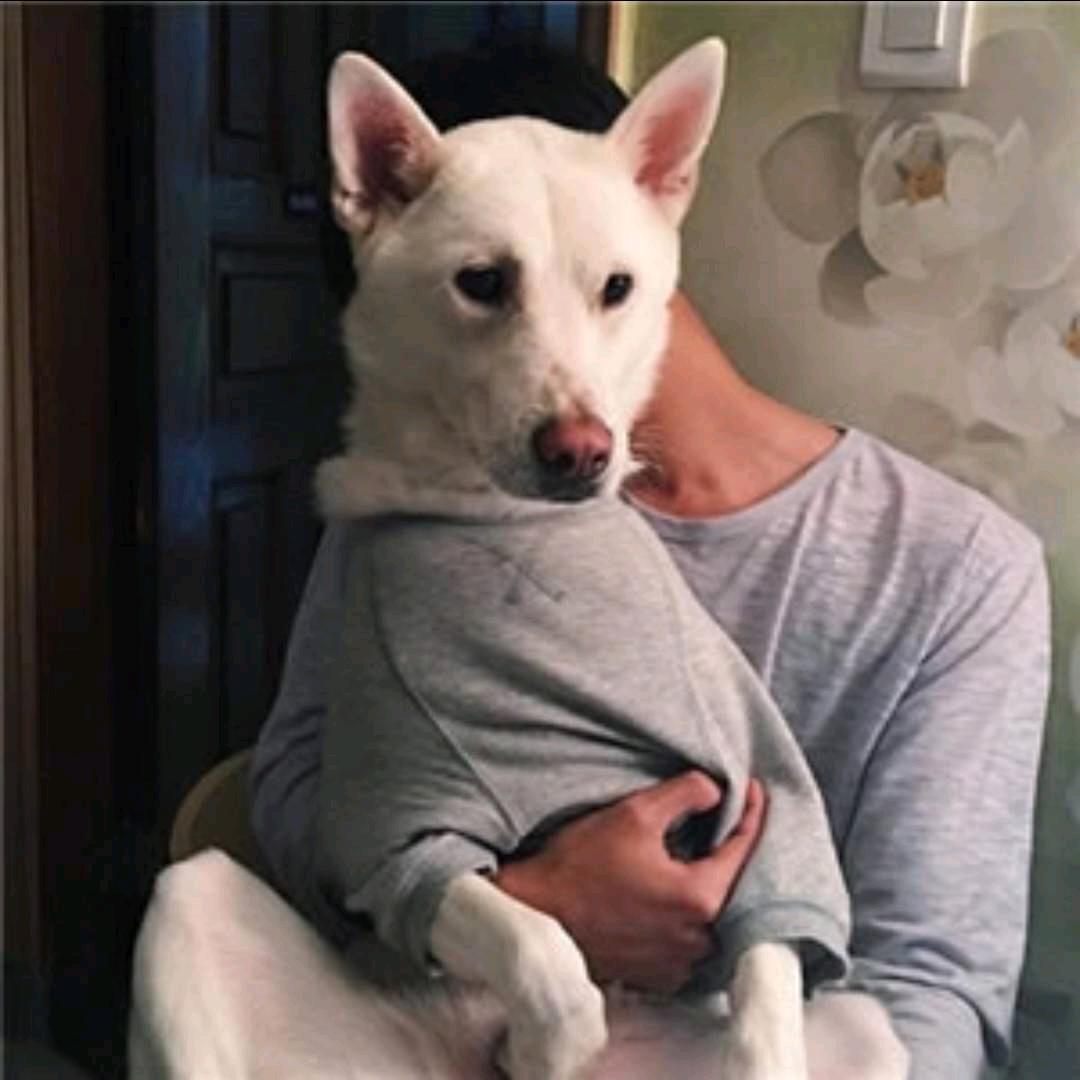 王林