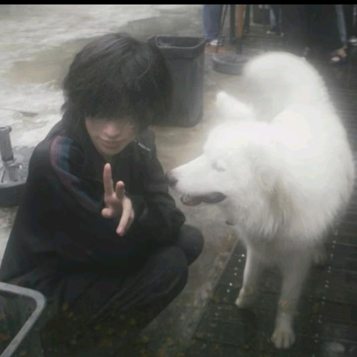 谢谢你为我哭泣