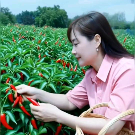 阿妹