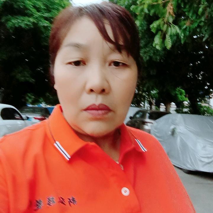 风中白合琴