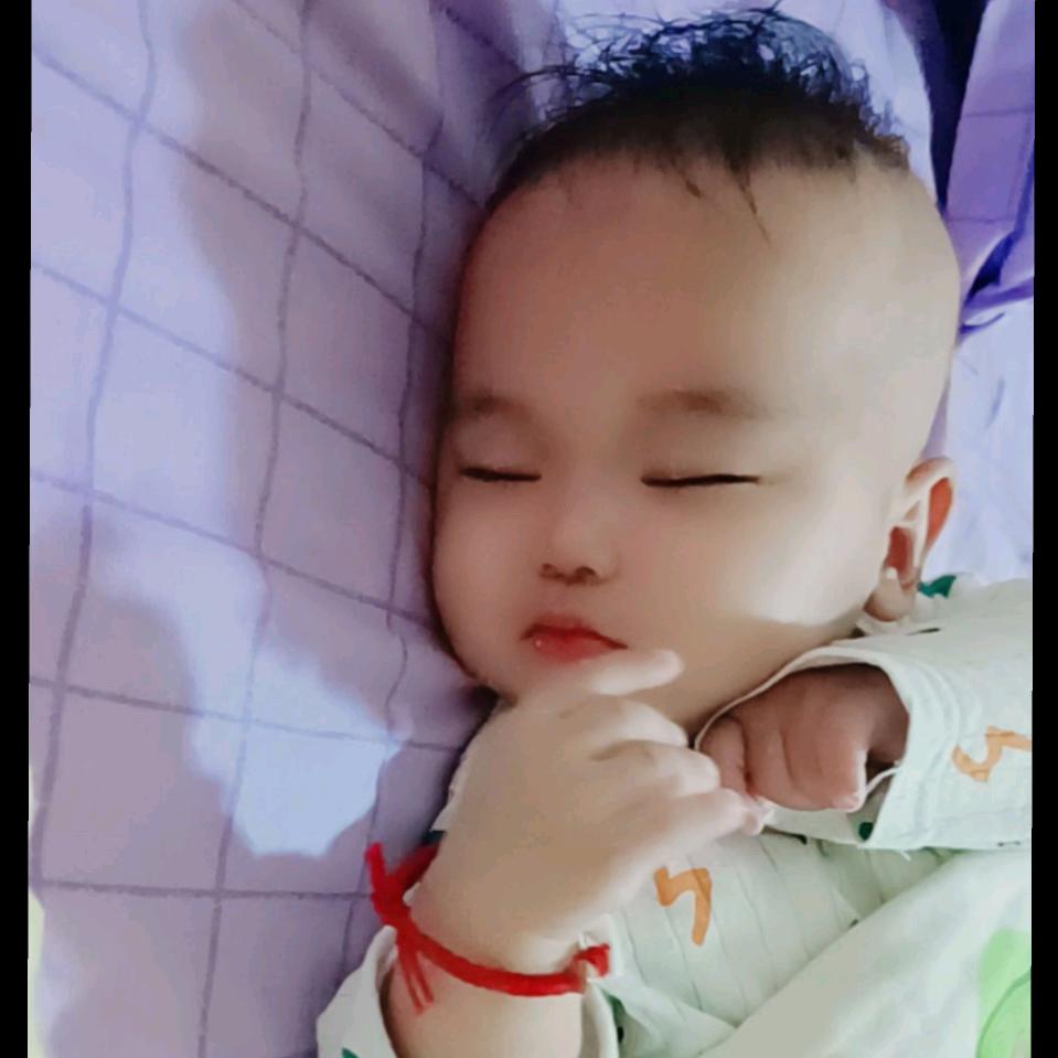 嘉嘉家有三宝🐂🐇🐍头像