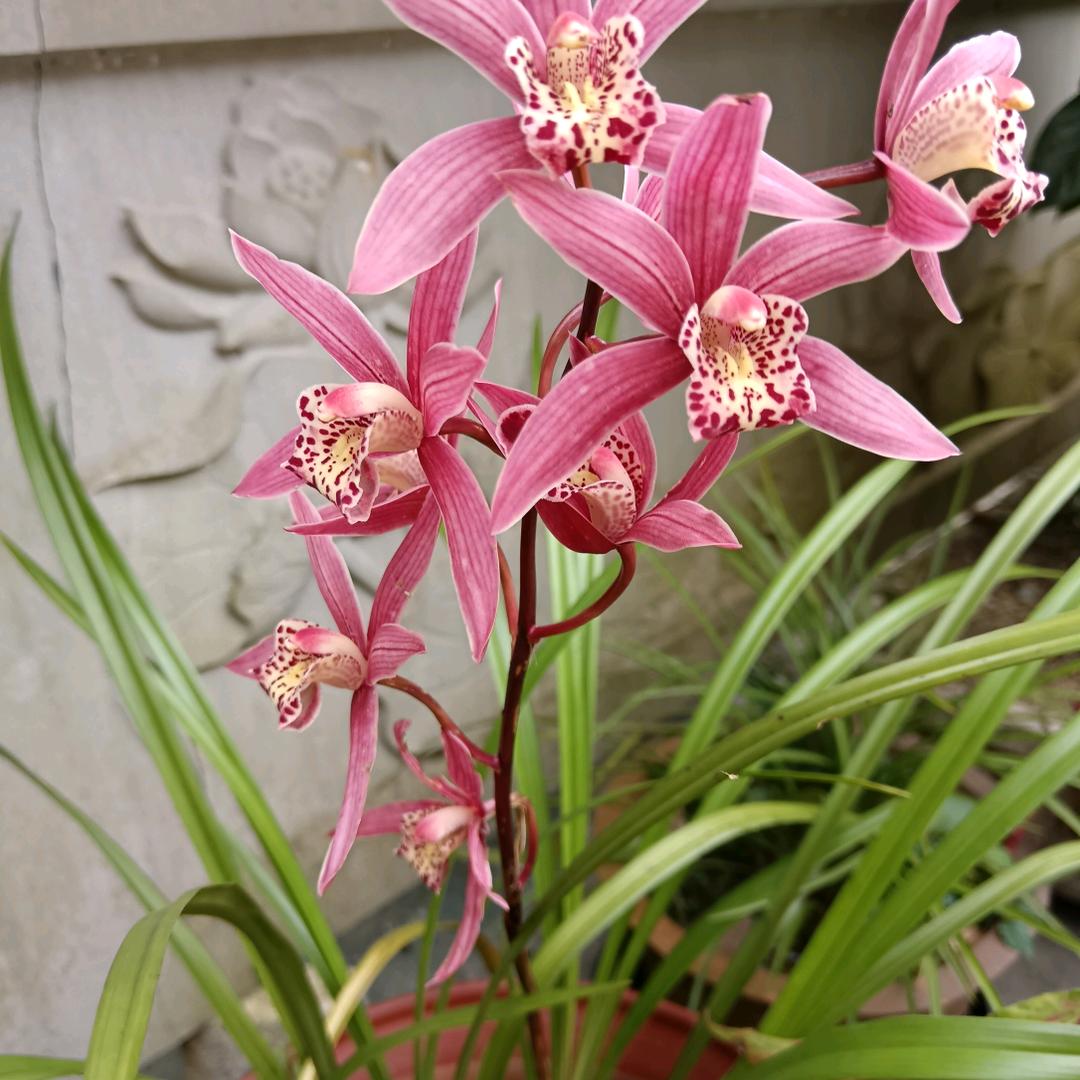 木子英