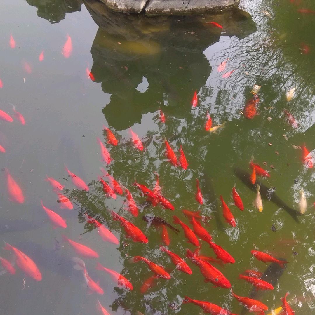 邪不压正
