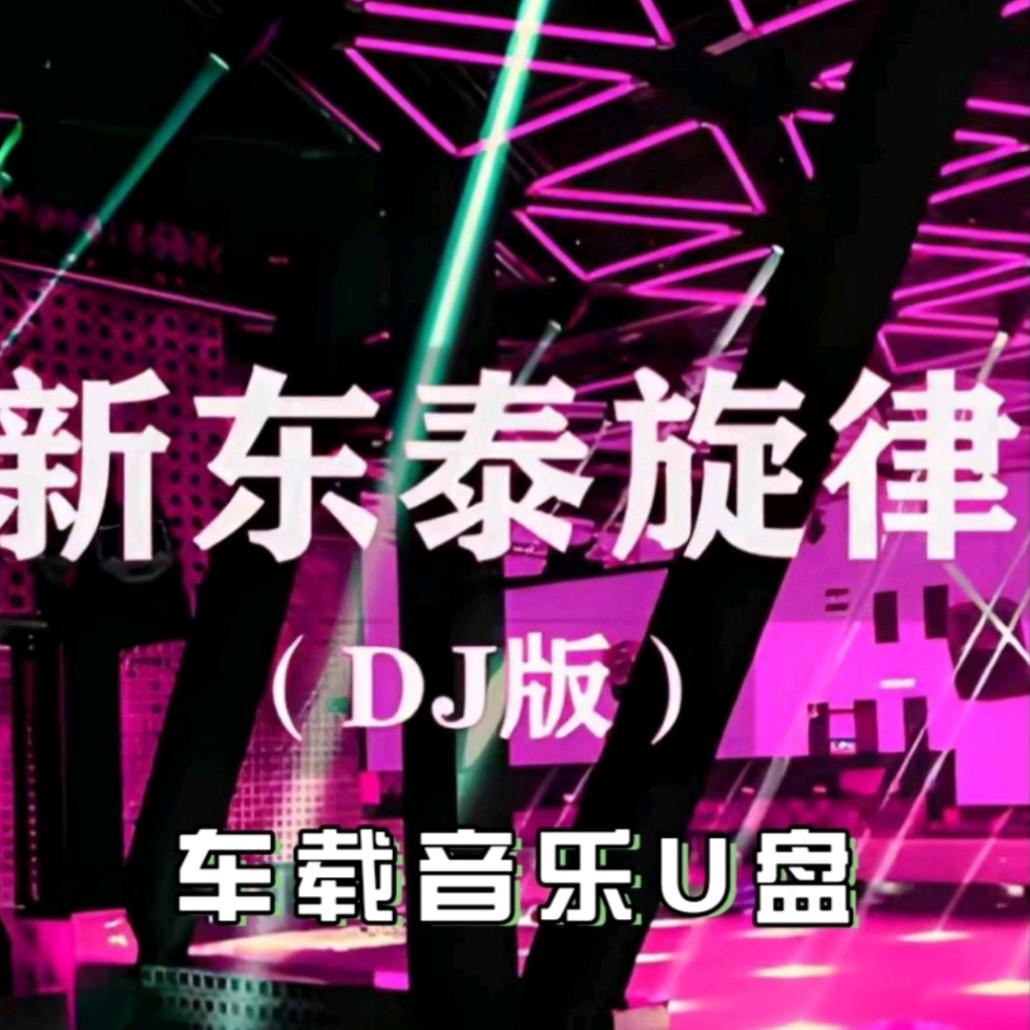 新东泰 DJ 音乐🎵