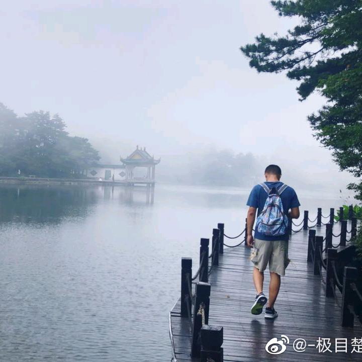 聽風的禪