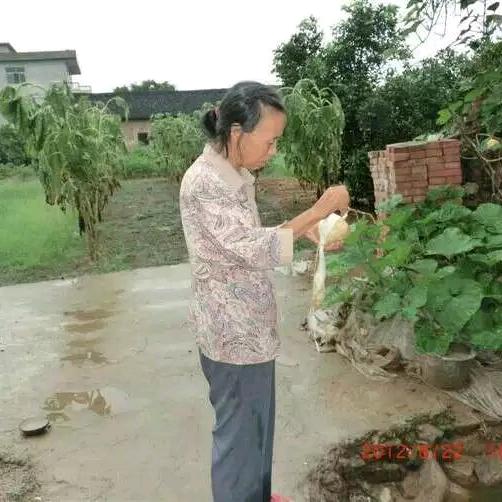 曾经