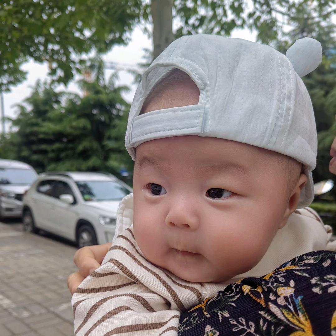 高老庄的大美女