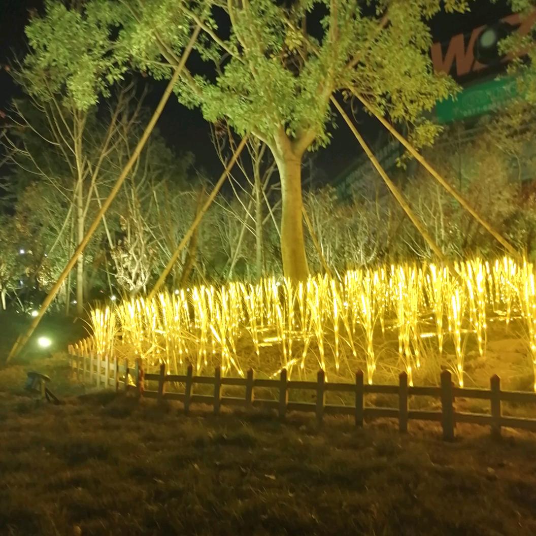 珍重芳姿昼掩门