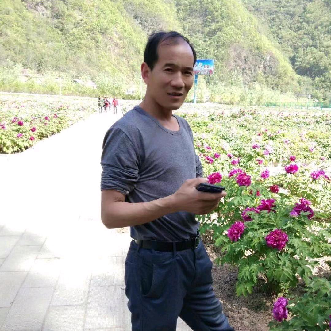 狼行天下