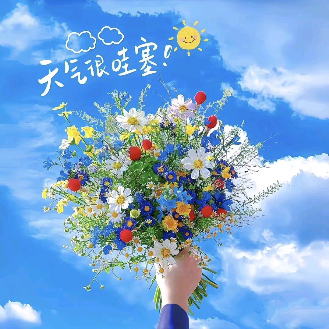 睡眠小🫛