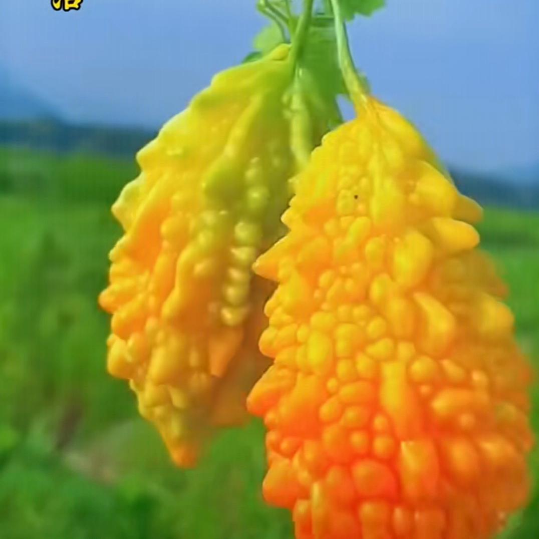 搀扶