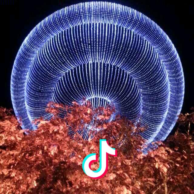 潍坊废旧轮胎橡胶回收德哥