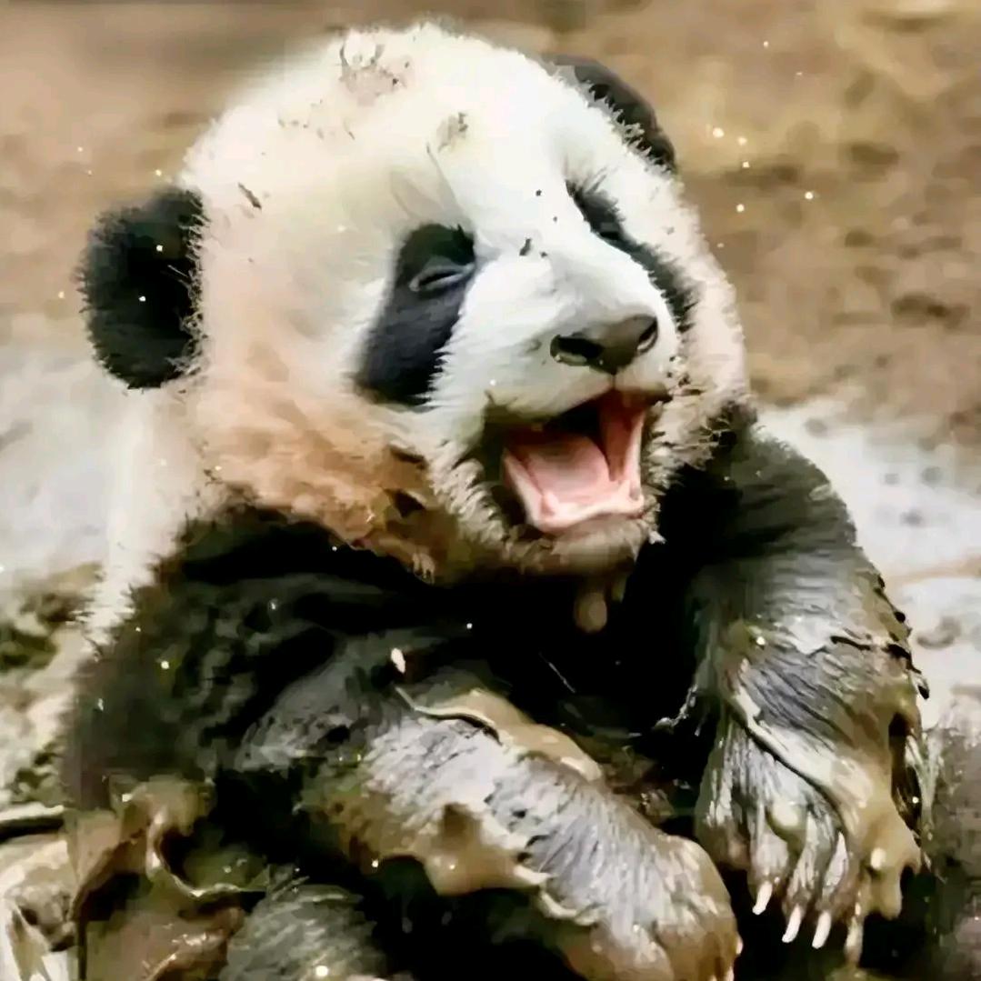 清风抚影