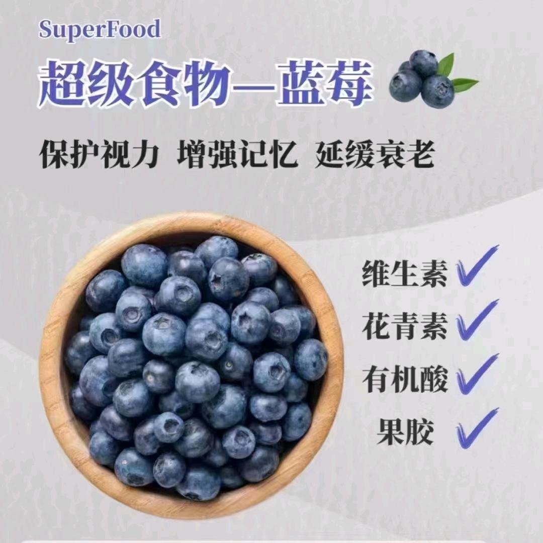 王者小菜鸡
