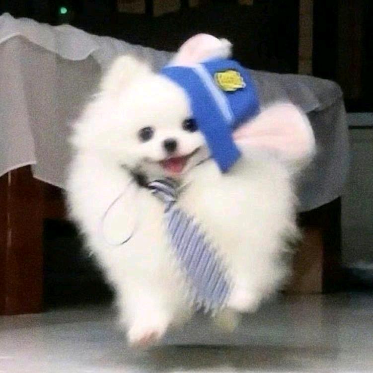 圈圈捺捺🫧