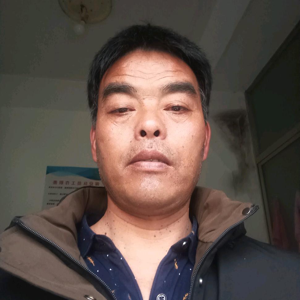 天若有情_247478769