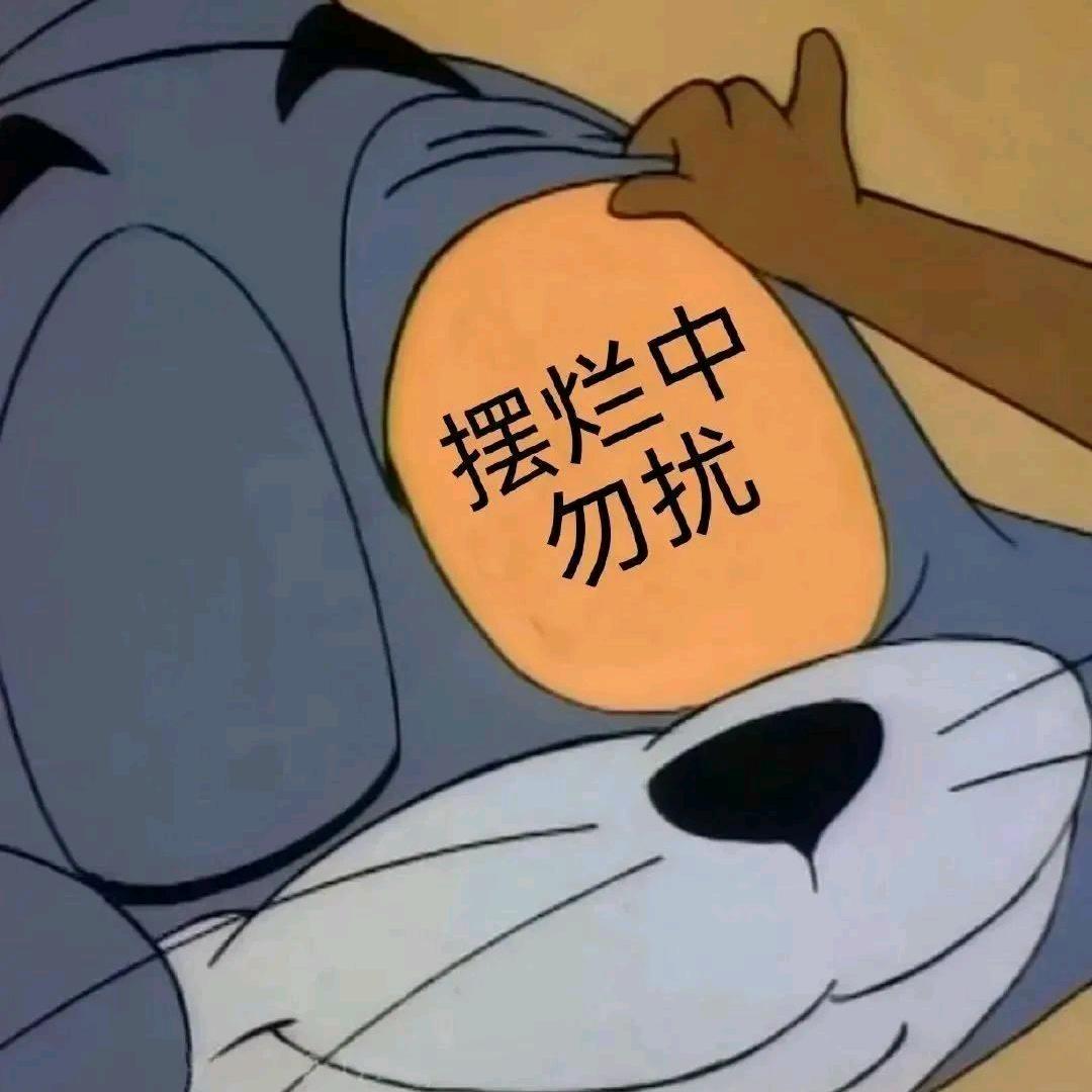 爱吃零食的猫