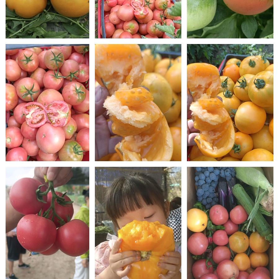 一家亲家庭农场(采摘园)官方号