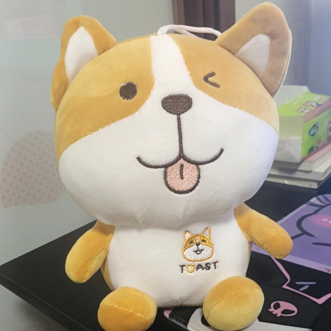 涛哥