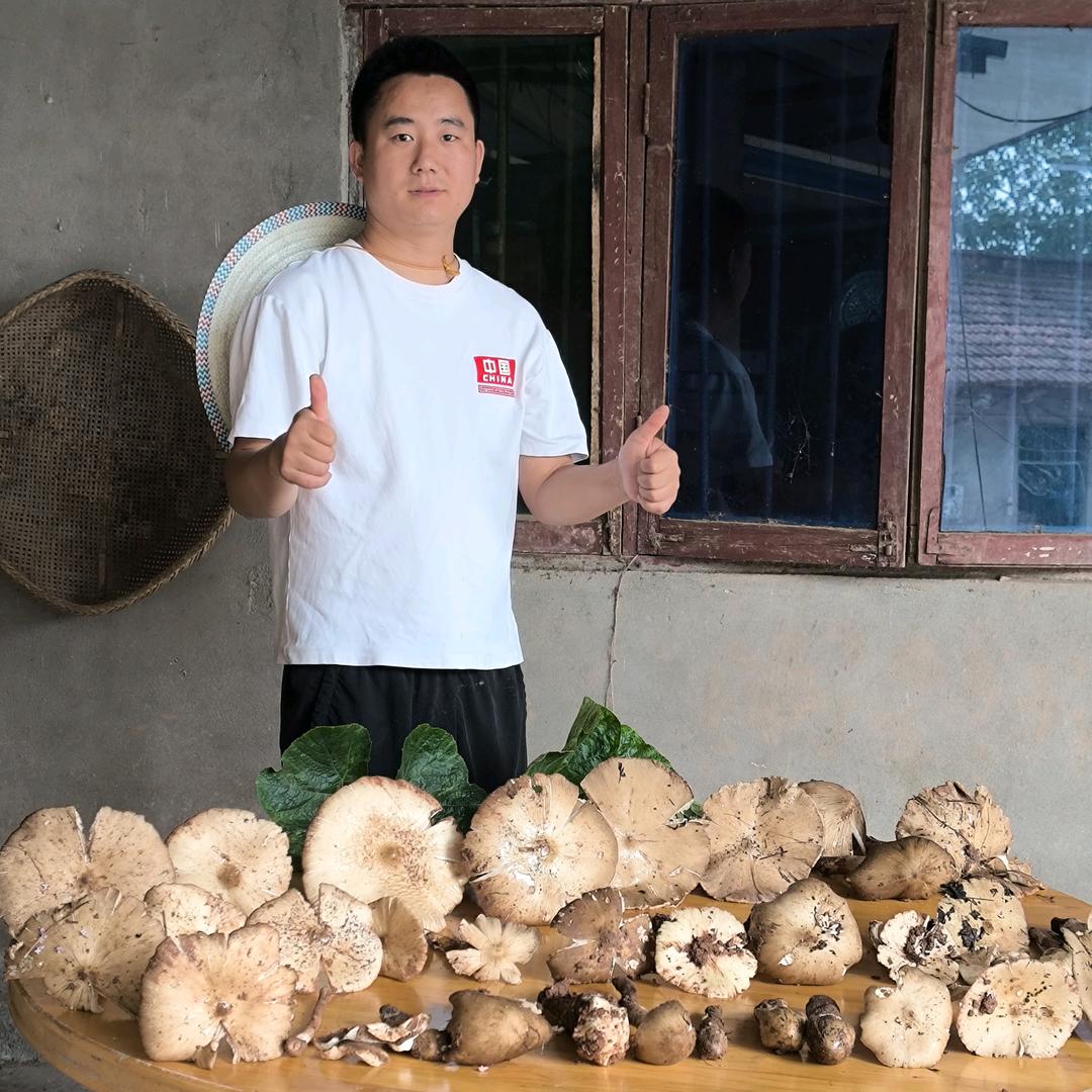 卖电脑捡菌子的小王