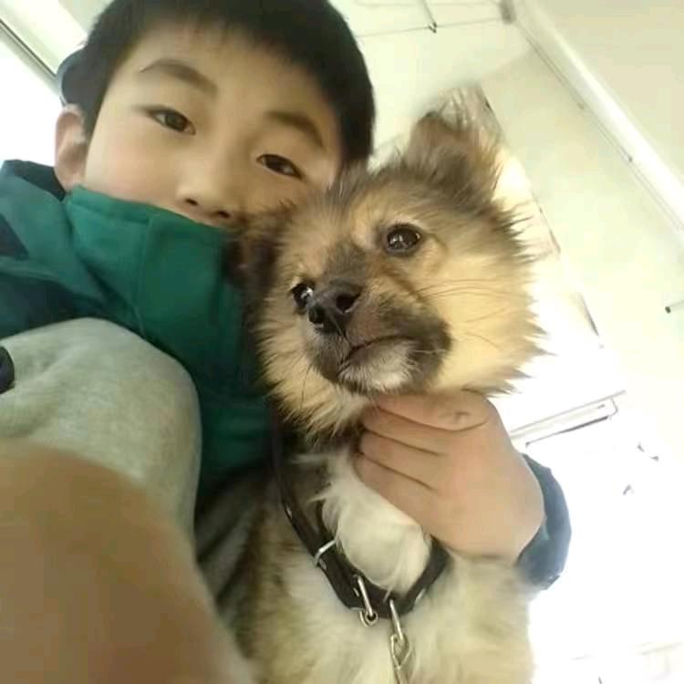 赵大丽在家做客服