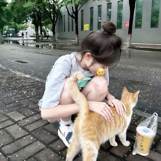 敷衍已成伤.