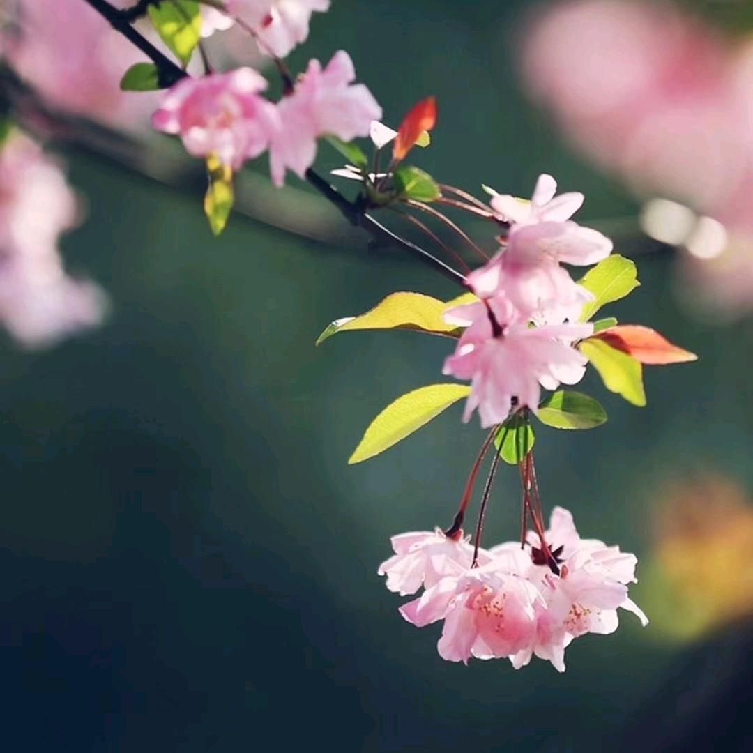 廖明碧