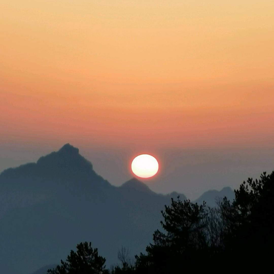 爱的港湾