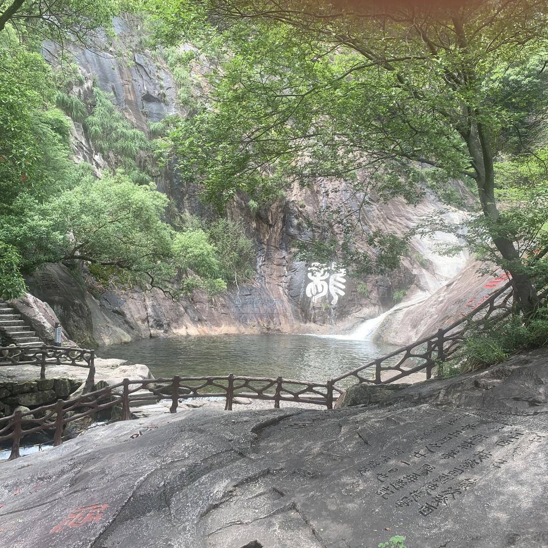 随心所欲