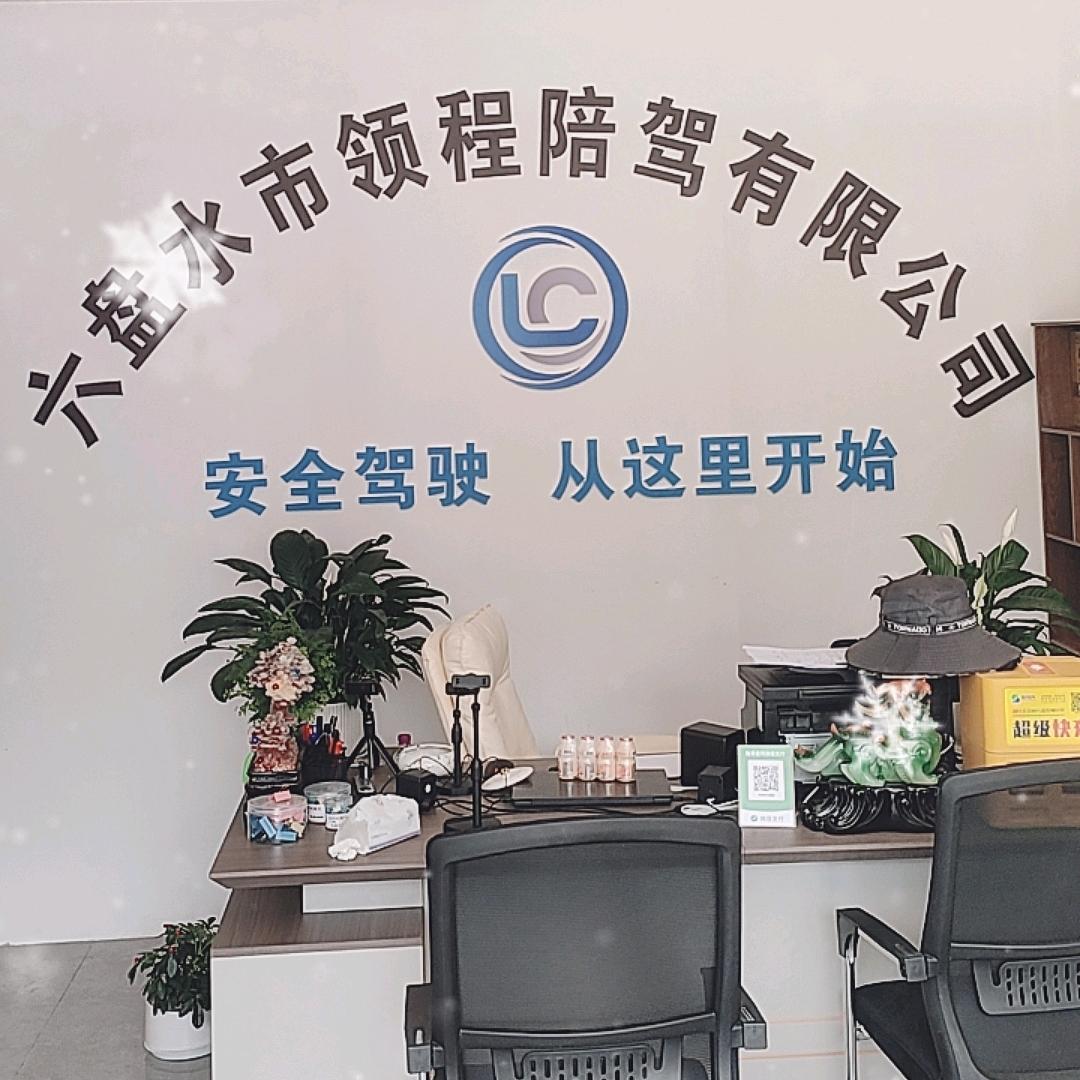 六盘水领程陪驾服务有限公司六盘水领程陪驾服务有限公司