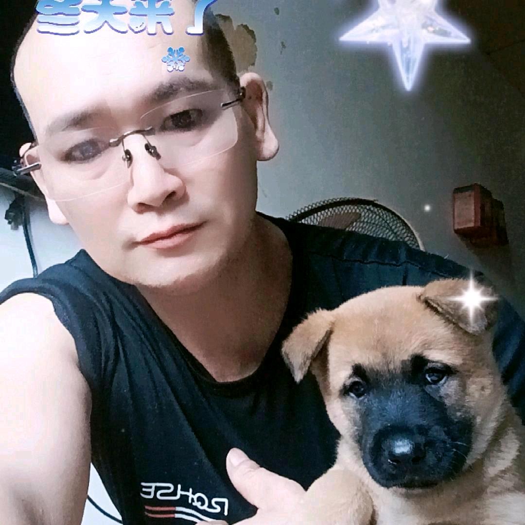 陈     云
