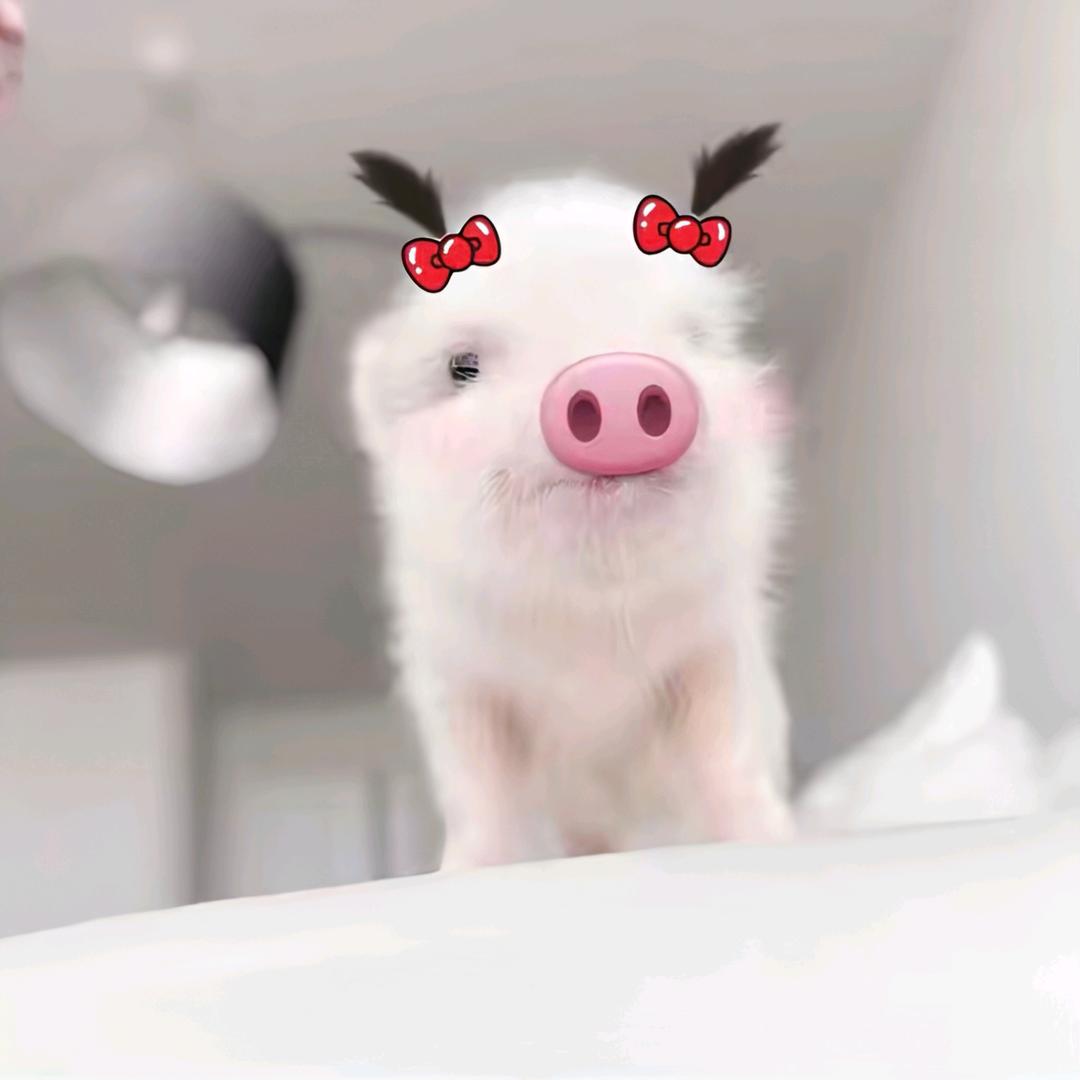 ^⦁᎑-^ ੭