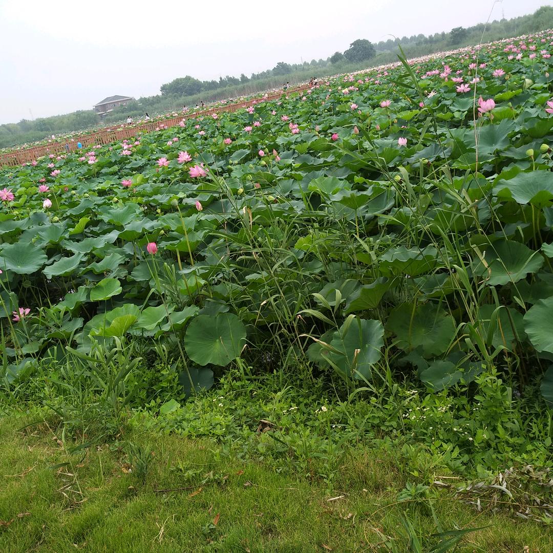 🌈随遇而安🌈