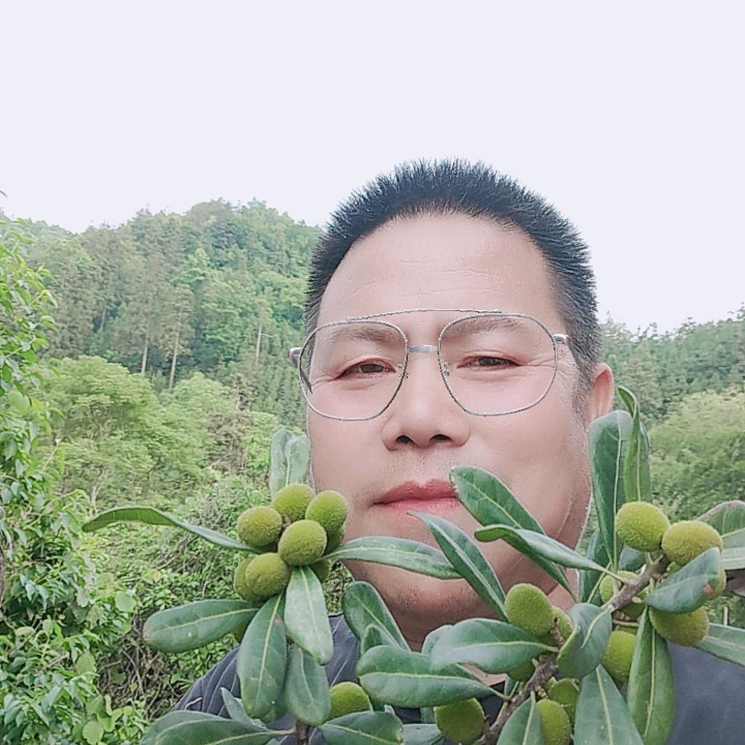 幸福的普通人〈522627〉