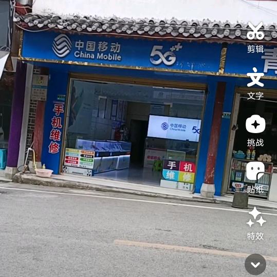 小燕子爱多肉