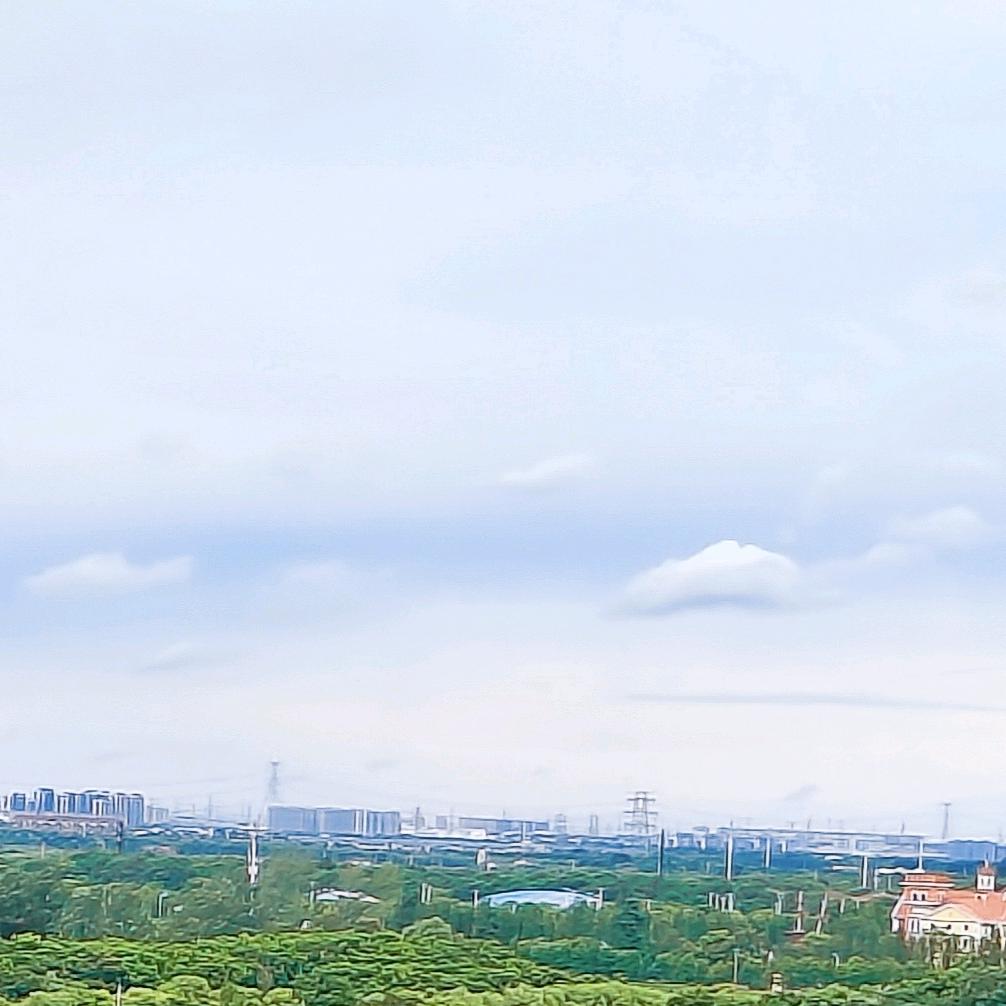 追逐风的梦想