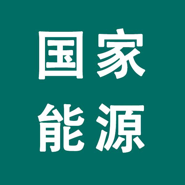 中因-李老师讲国能