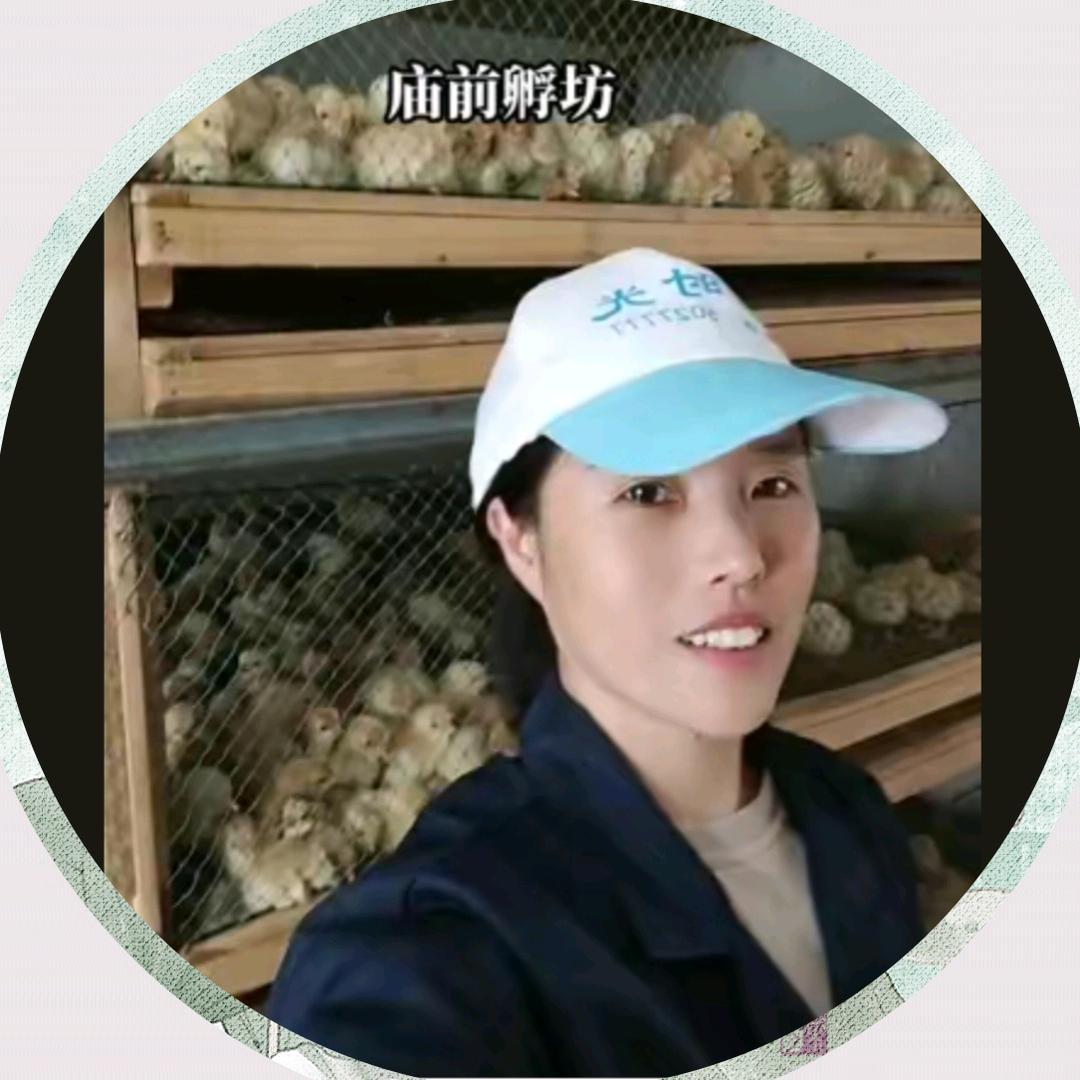 庙前孵坊小琴