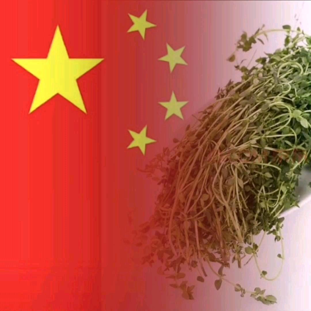 🇨🇳小石头🇨🇳