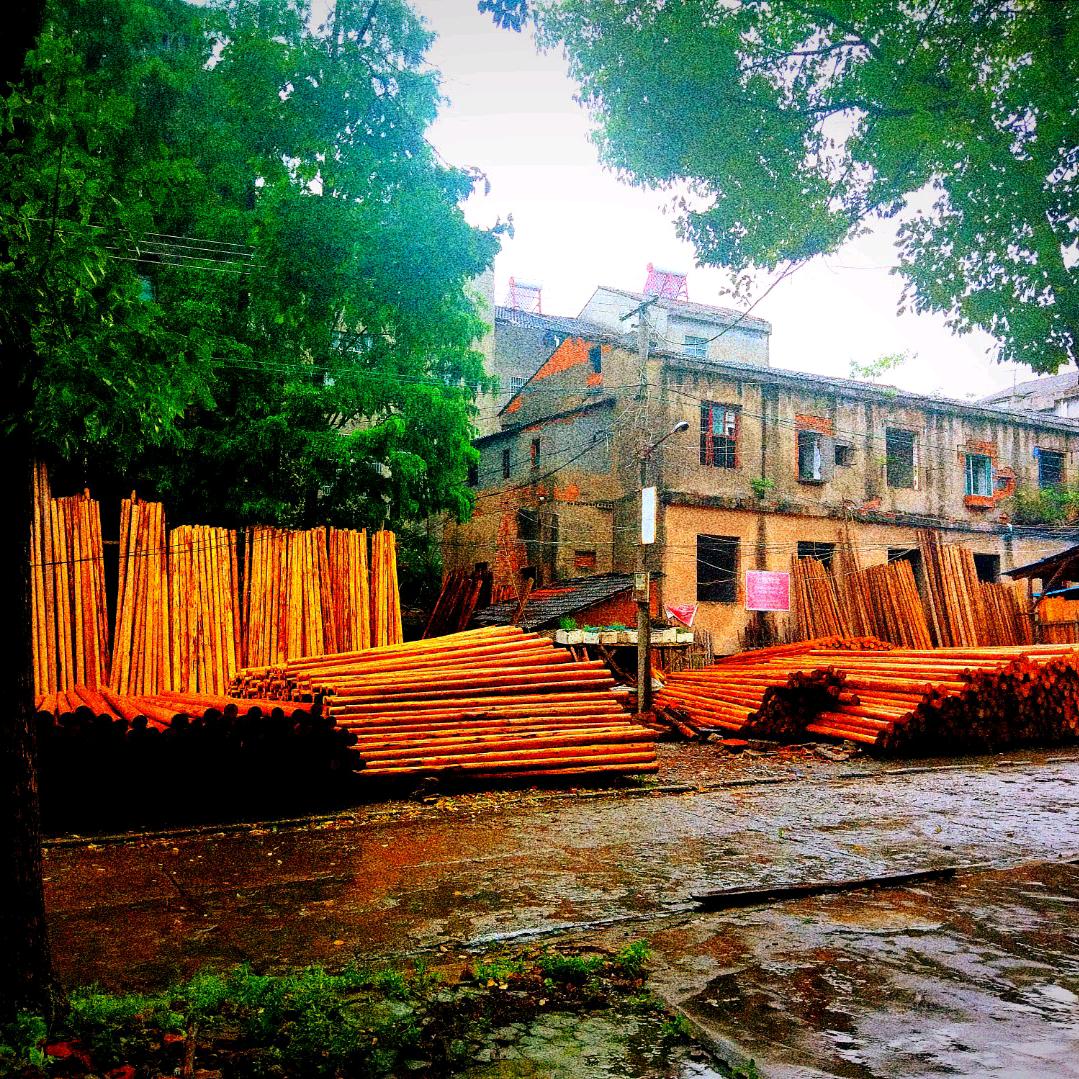 CZN2007
