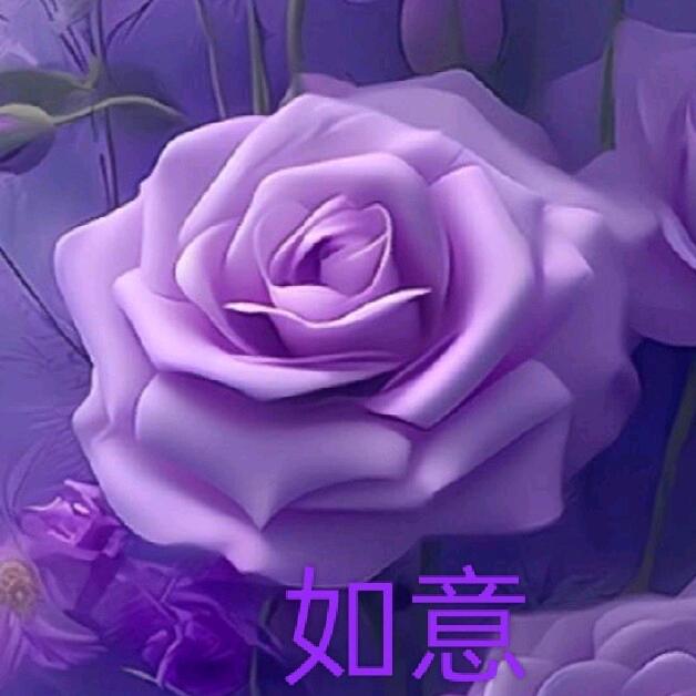 🍁如意🍁