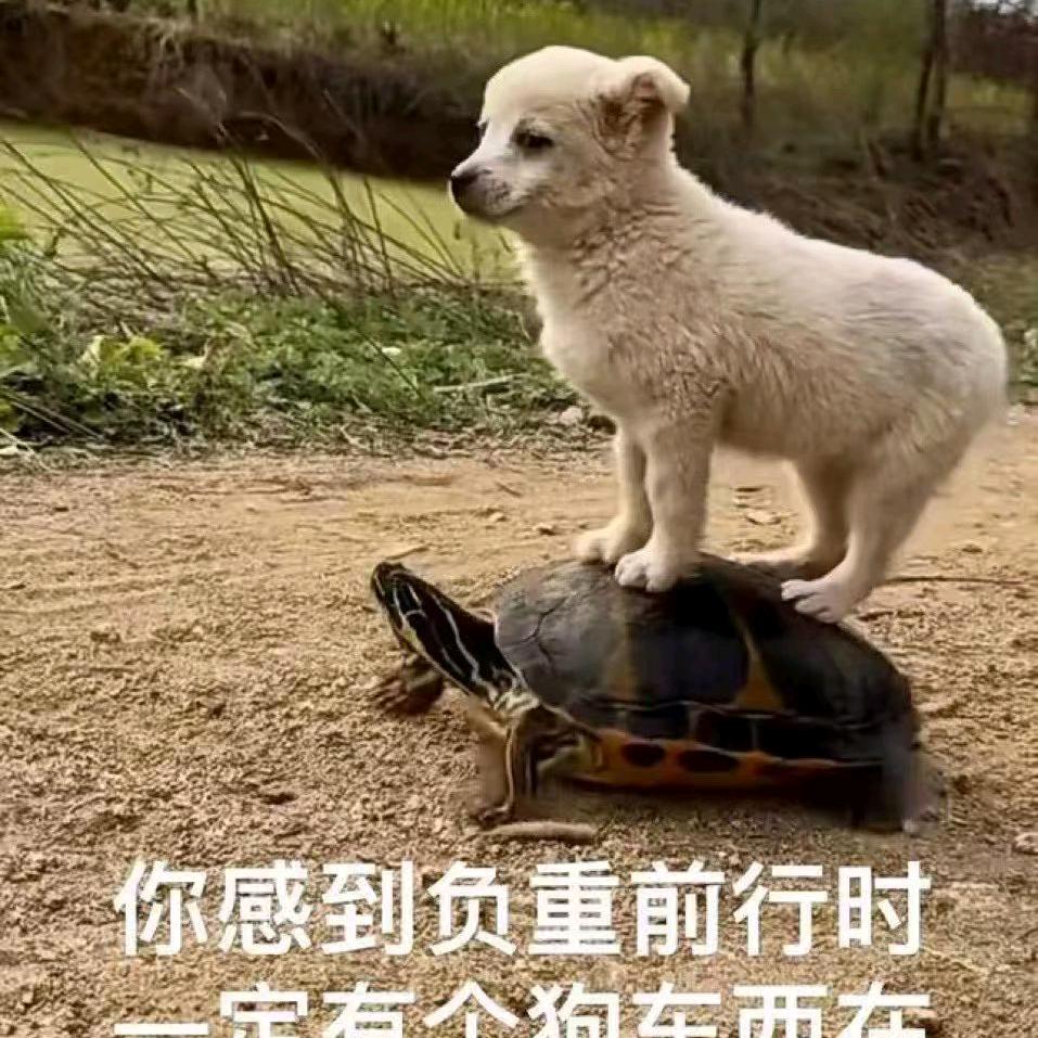 胡立阳