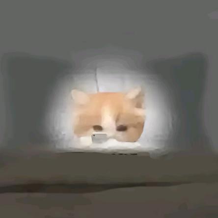 唯二