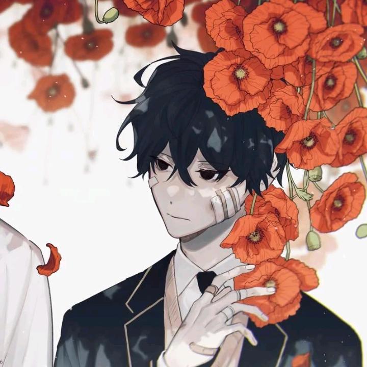 cn:安锦芸