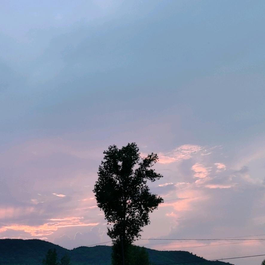 东北大旭🌽