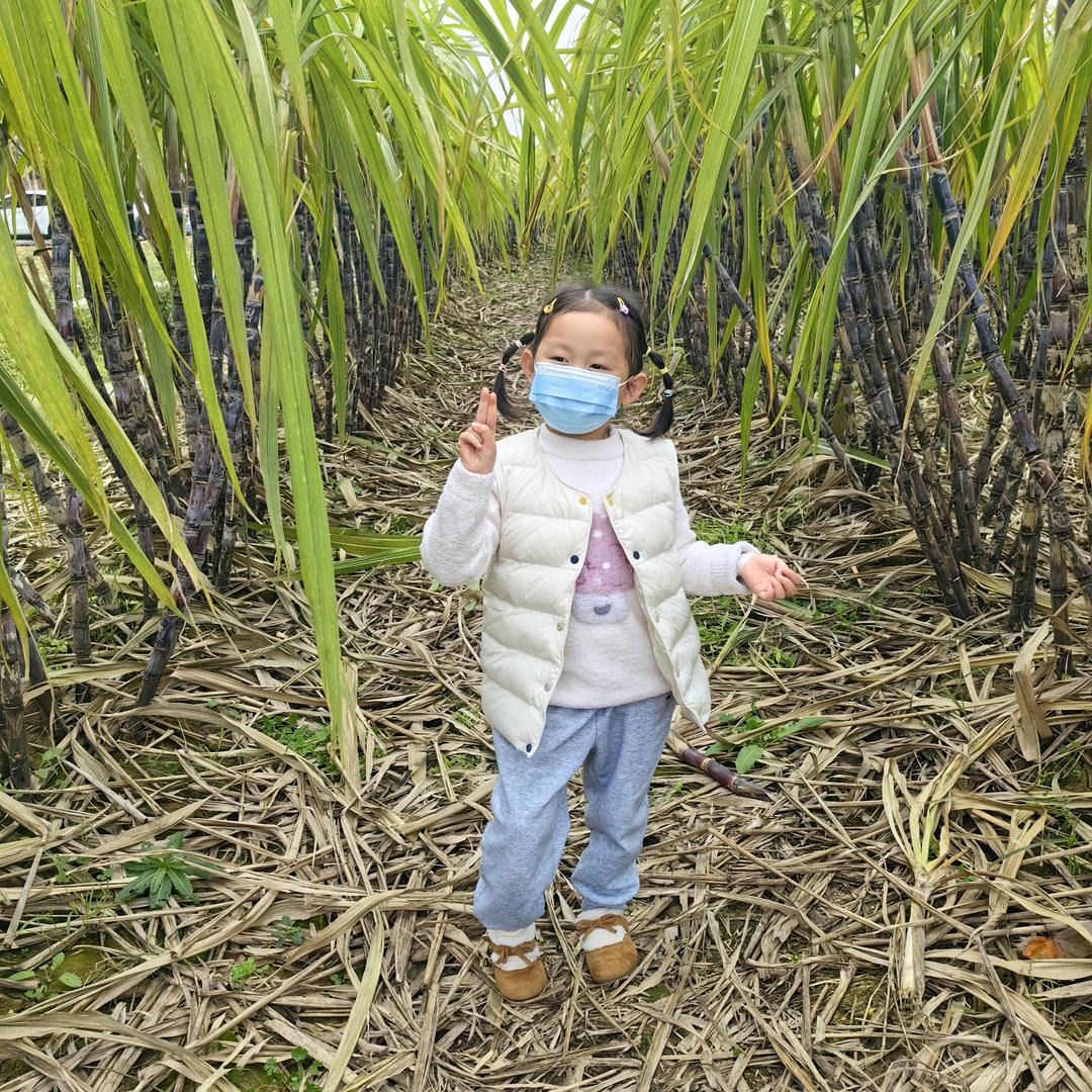 柚子妈咪