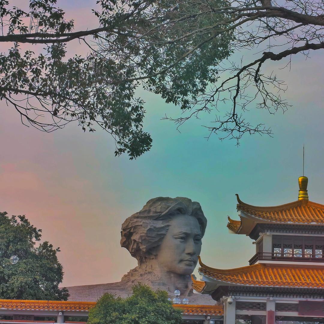 君小果