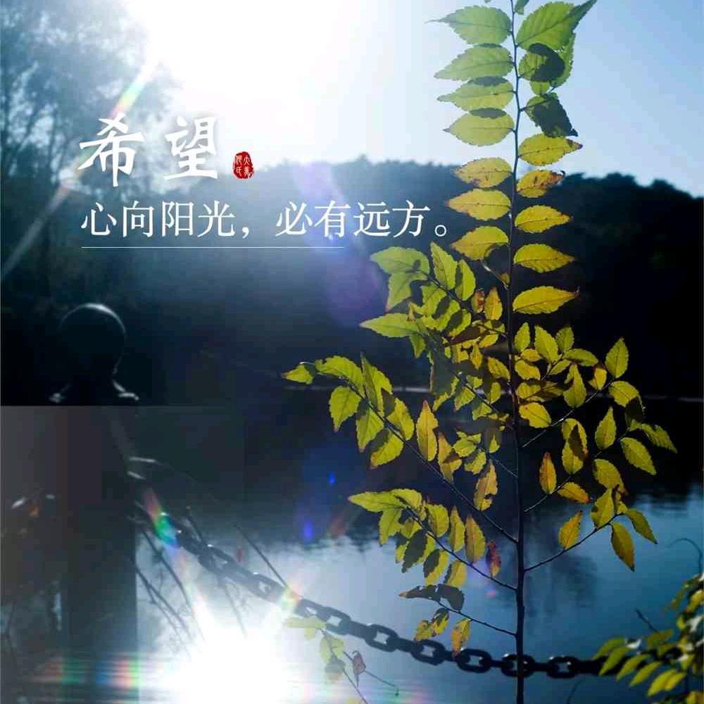 永远